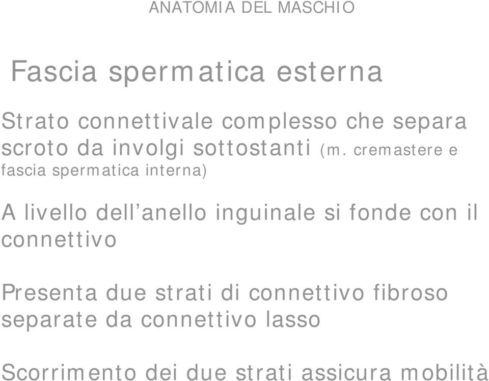 cremastere e fascia spermatica interna) A livello dell anello inguinale si