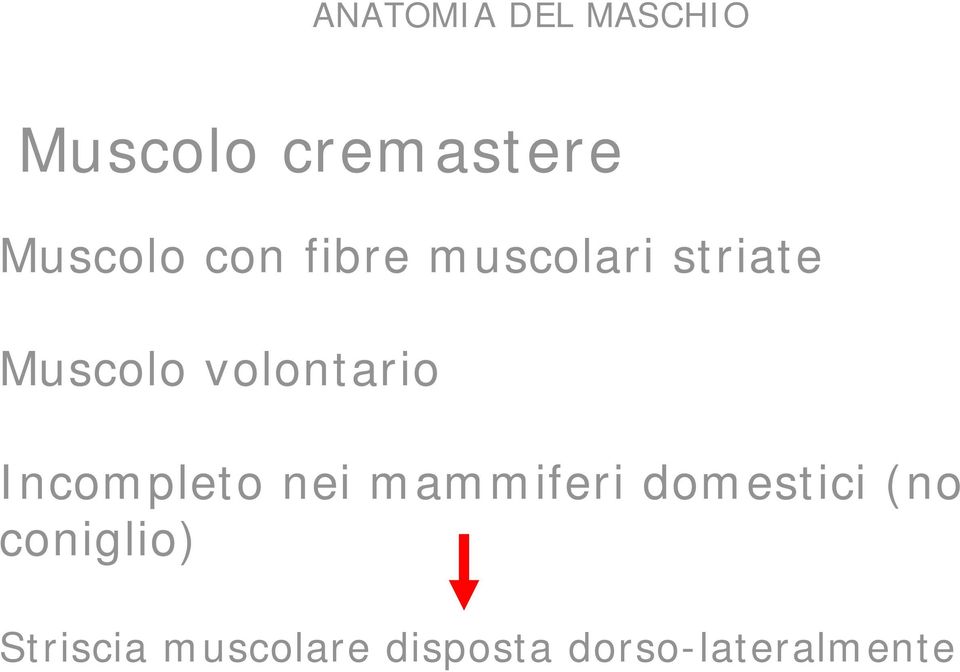 Incompleto nei mammiferi domestici (no