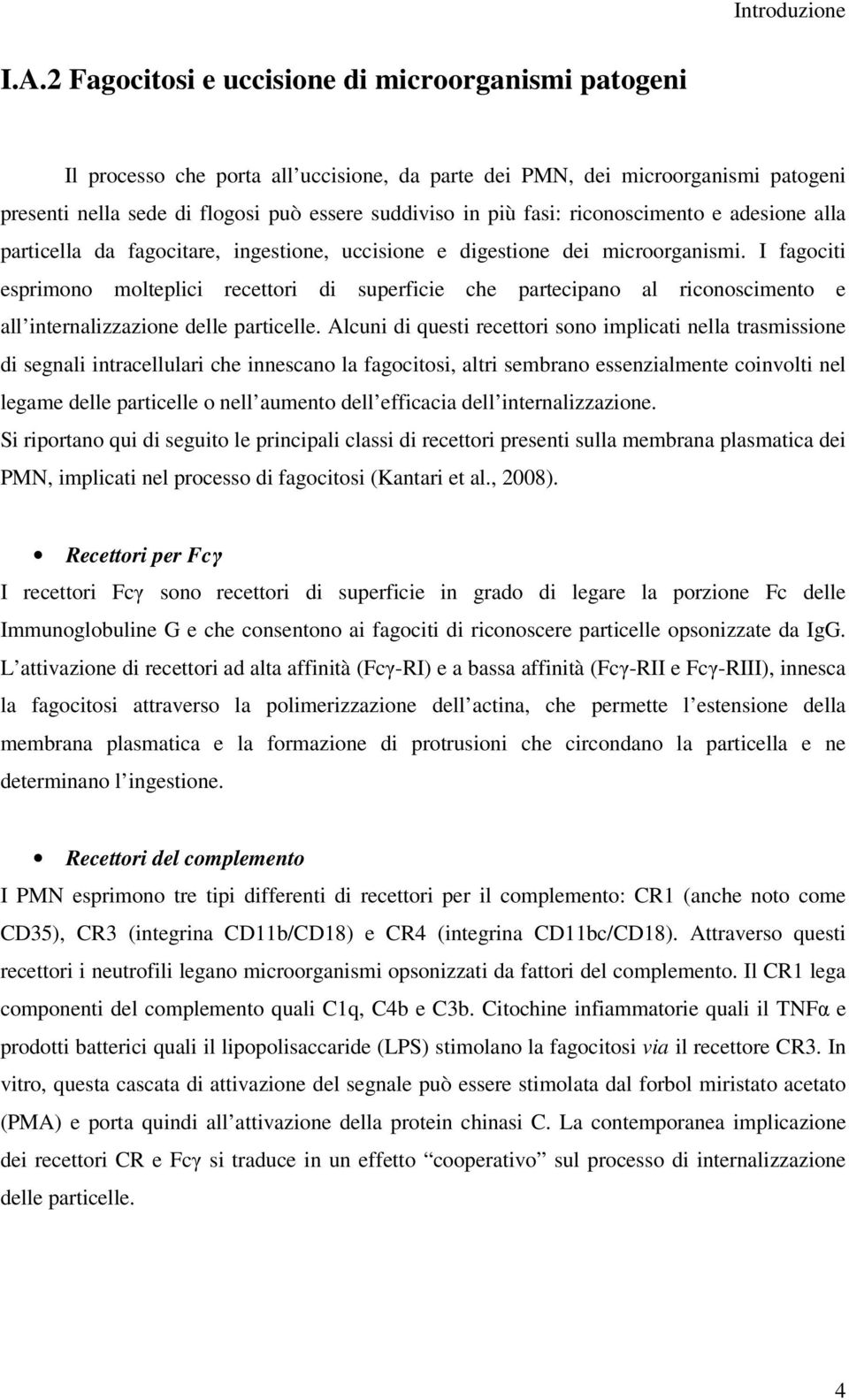 riconoscimento e adesione alla particella da fagocitare, ingestione, uccisione e digestione dei microorganismi.