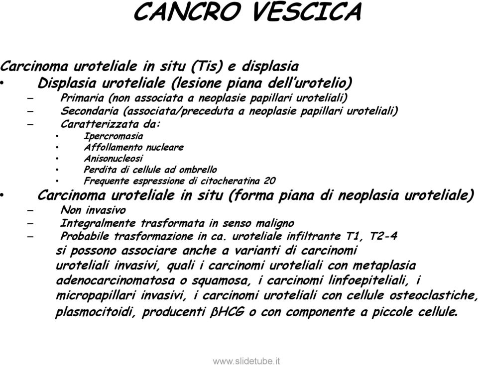 piana di neoplasia uroteliale) Non invasivo Integralmente trasformata in senso maligno Probabile trasformazione in ca.