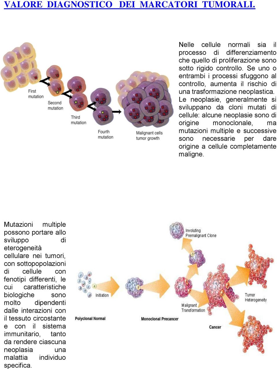 Le neoplasie, generalmente si sviluppano da cloni mutati di cellule: alcune neoplasie sono di origine monoclonale, ma mutazioni multiple e successive sono necessarie per dare origine a cellule