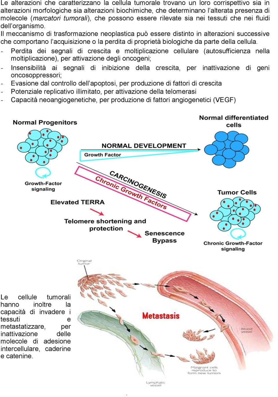 Il meccanismo di trasformazione neoplastica può essere distinto in alterazioni successive che comportano l acquisizione o la perdita di proprietà biologiche da parte della cellula.