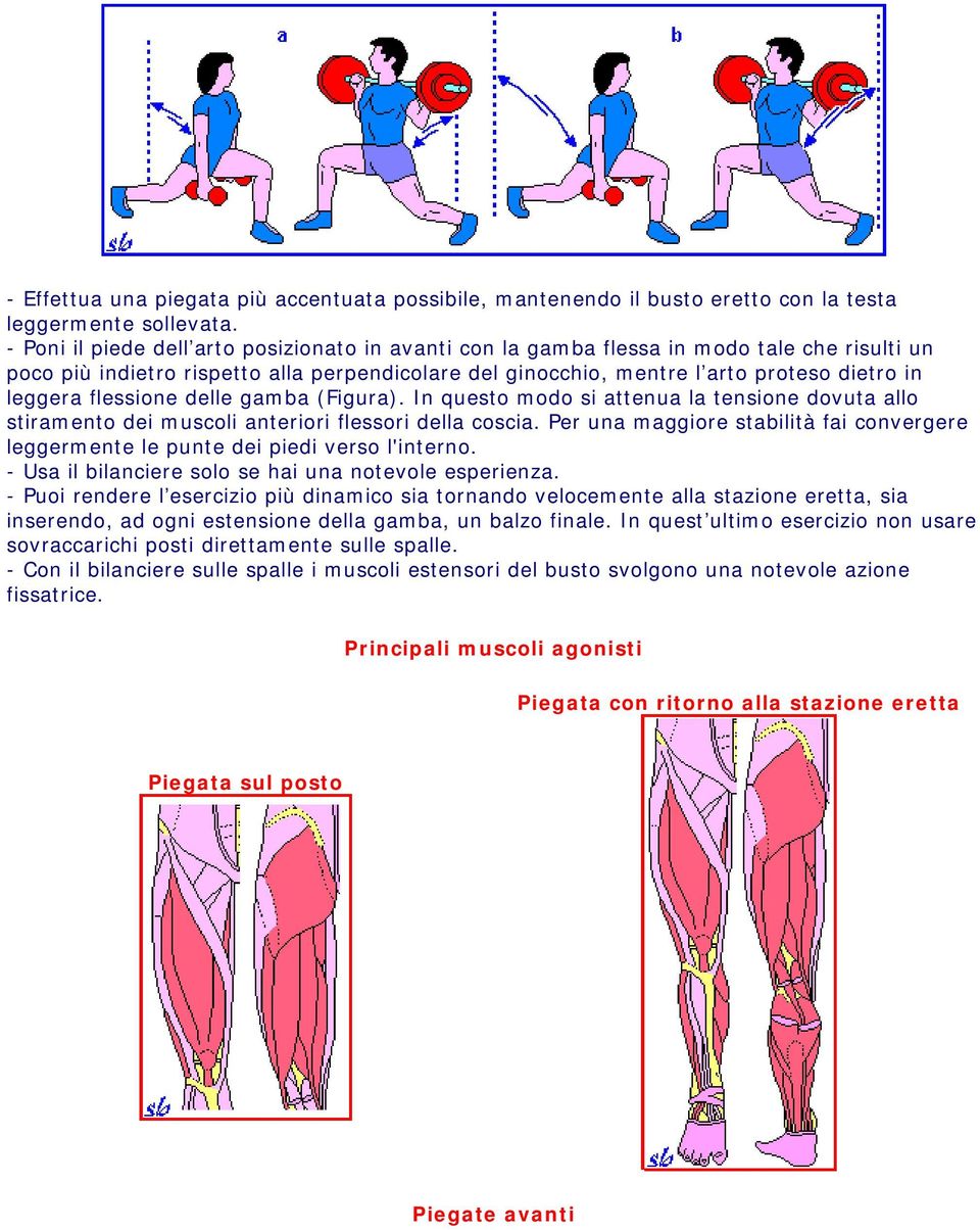 flessione delle gamba (Figura). In questo modo si attenua la tensione dovuta allo stiramento dei muscoli anteriori flessori della coscia.