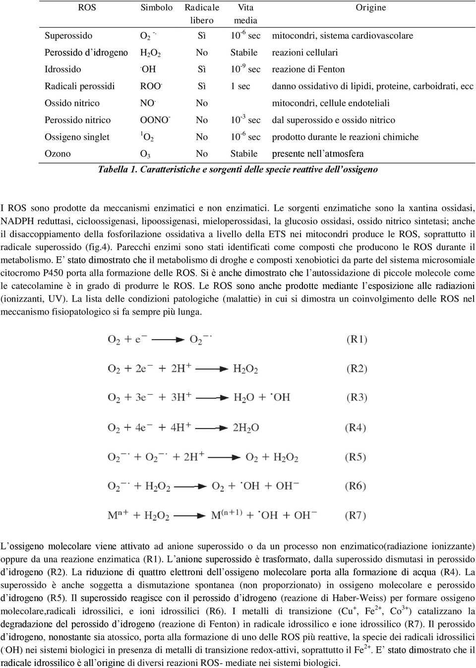 No mitocondri, cellule endoteliali Perossido nitrico OONO - No 10-3 sec dal superossido e ossido nitrico Ossigeno singlet 1 O 2 No 10-6 sec prodotto durante le reazioni chimiche Ozono O 3 No Stabile