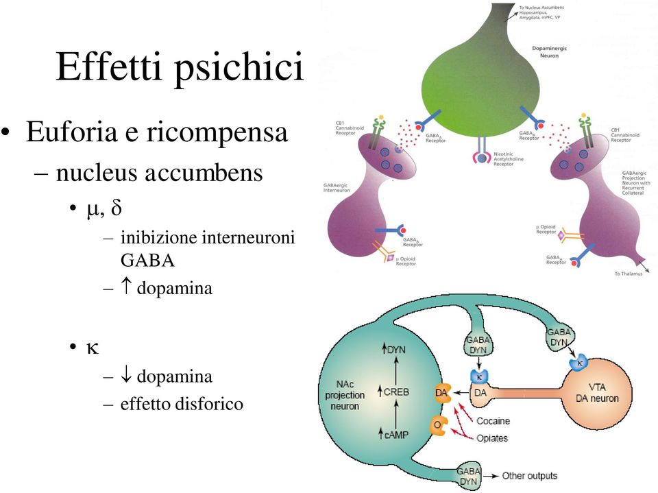 inibizione interneuroni GABA