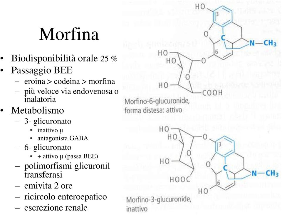 inattivo μ antagonista GABA 6- glicuronato + attivo μ (passa BEE)