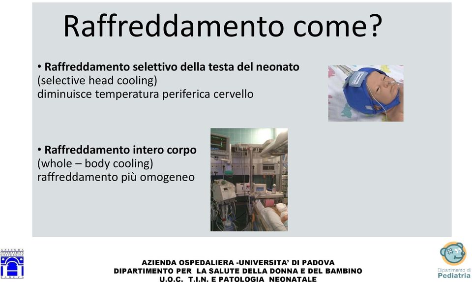 (selective head cooling) diminuisce temperatura