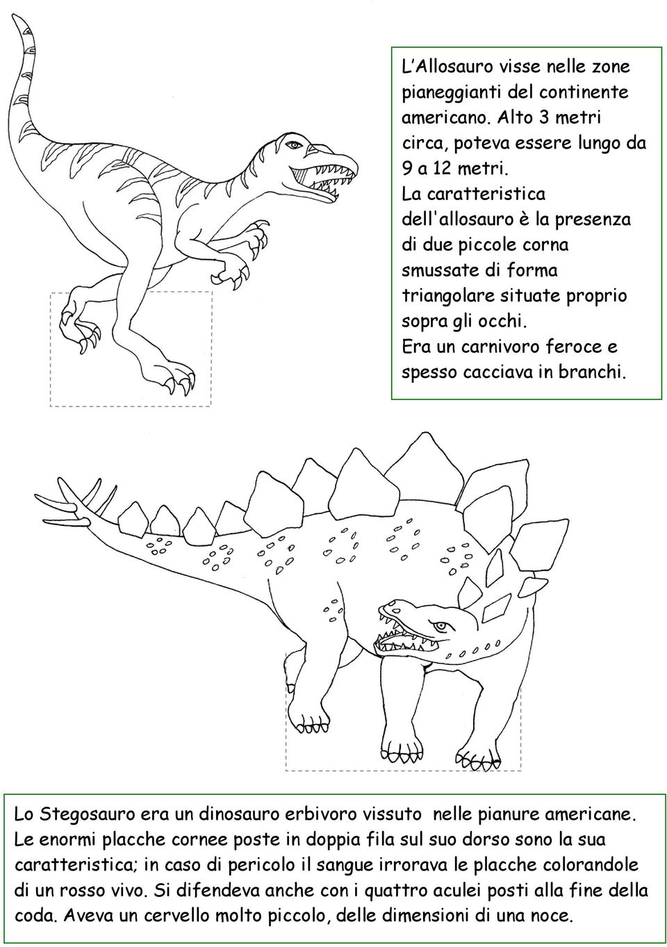 Era un carnivoro feroce e spesso cacciava in branchi. Lo Stegosauro era un dinosauro erbivoro vissuto nelle pianure americane.