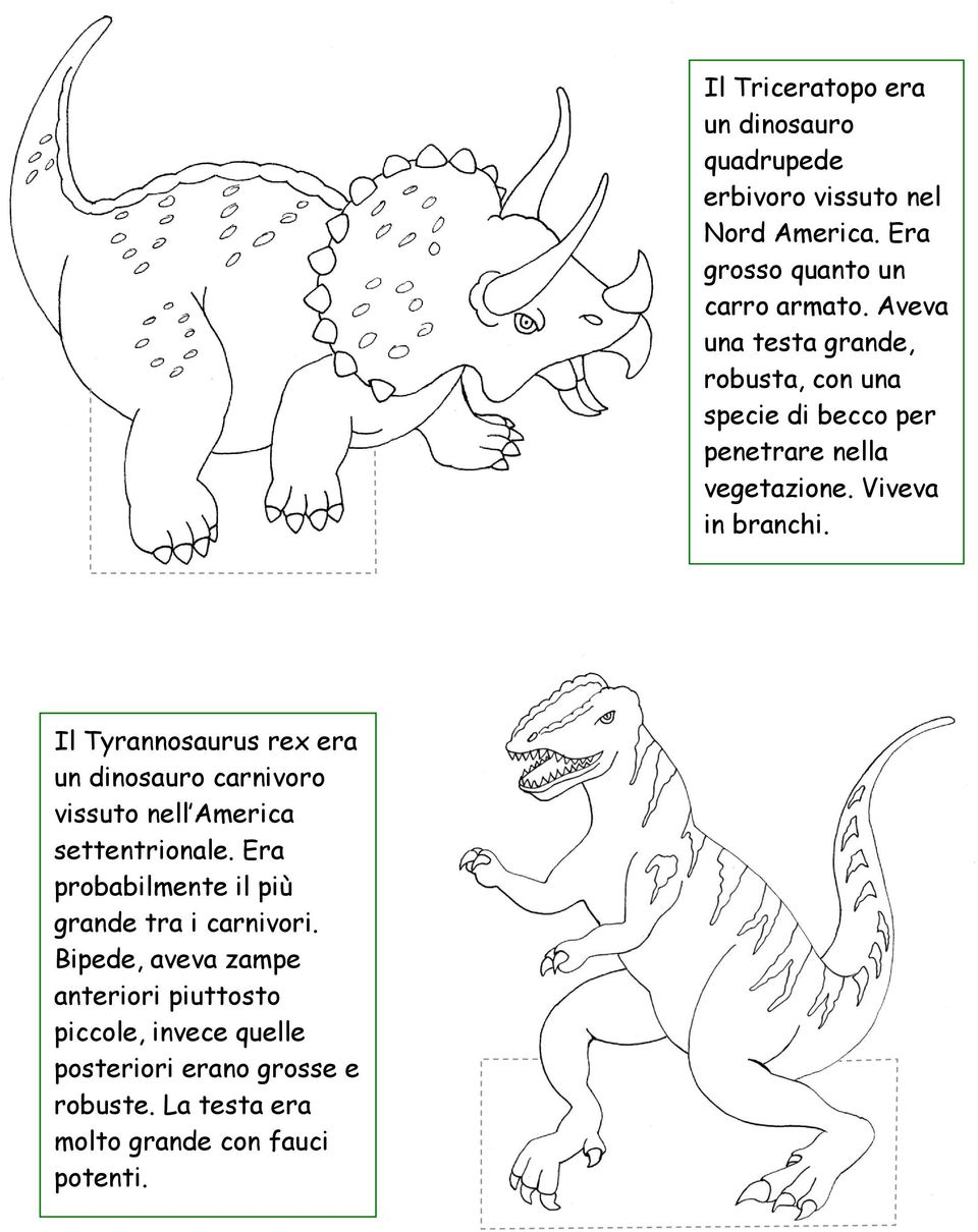 Bipede, aveva zampe anteriori piuttosto piccole, invece quelle posteriori erano grosse e robuste.