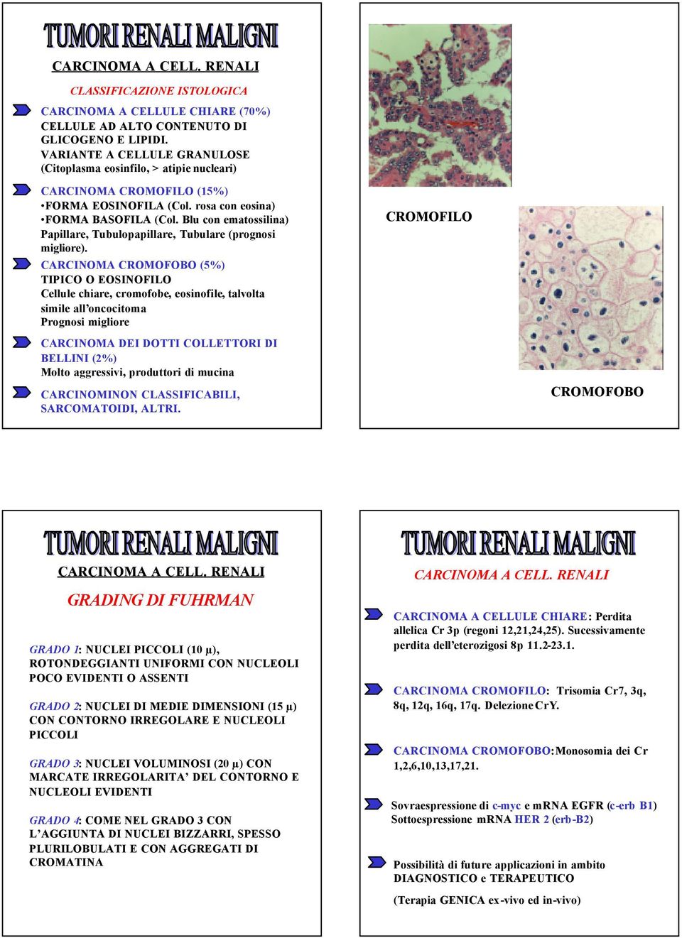 Blu con ematossilina) Papillare, Tubulopapillare, Tubulare (prognosi migliore).