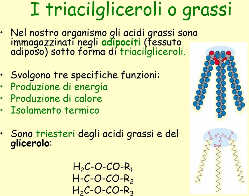 Svolgono tre specifiche funzioni: Produzione di energia Produzione di calore