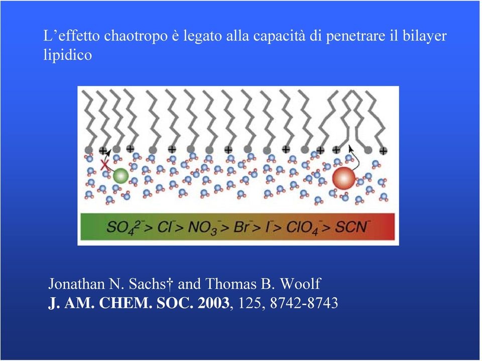 lipidico Jonathan N.