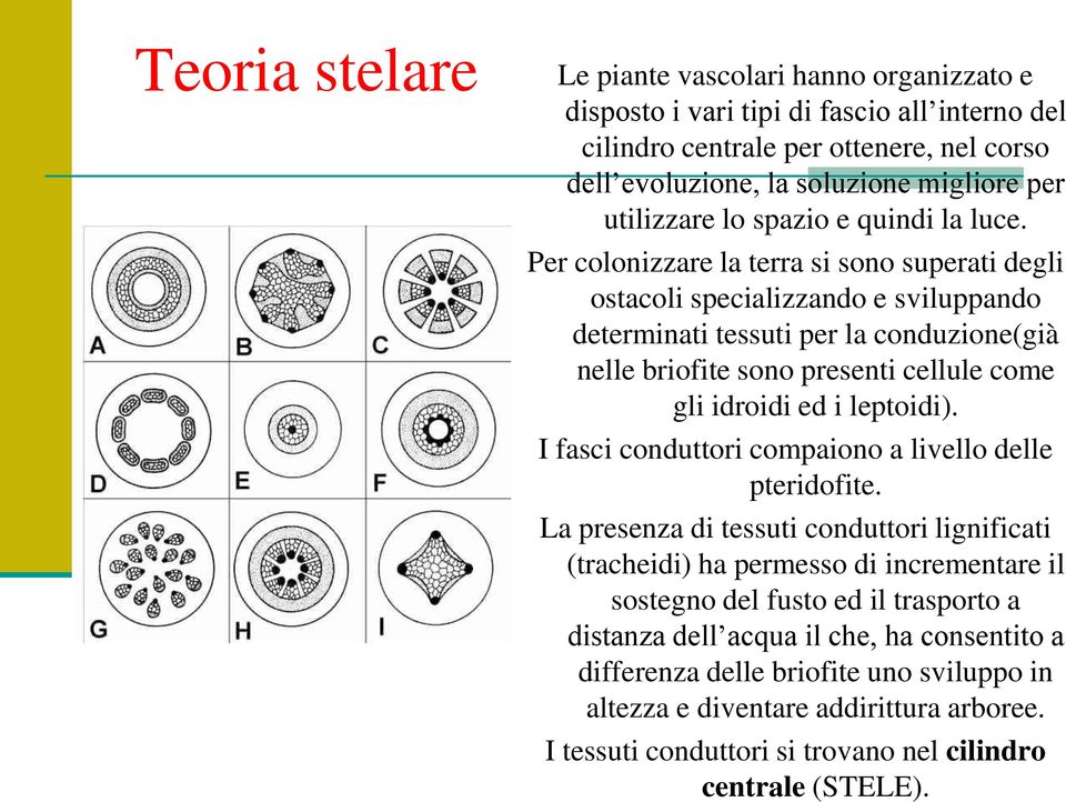 Per colonizzare la terra si sono superati degli ostacoli specializzando e sviluppando determinati tessuti per la conduzione(già nelle briofite sono presenti cellule come gli idroidi ed i leptoidi).