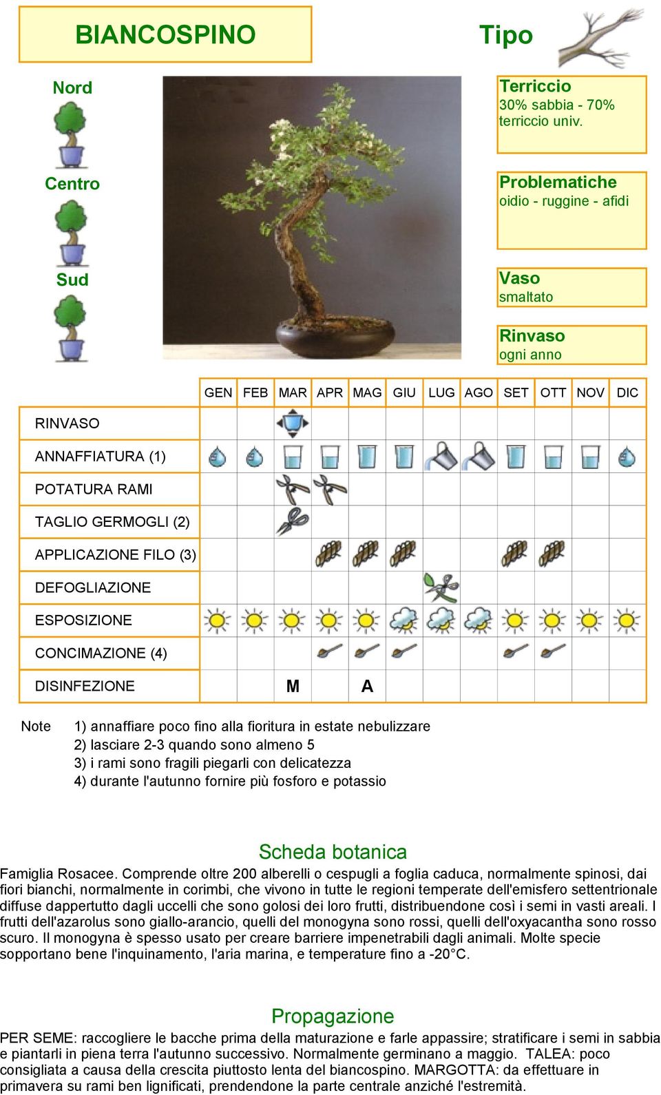 Comprende oltre 200 alberelli o cespugli a foglia caduca, normalmente spinosi, dai fiori bianchi, normalmente in corimbi, che vivono in tutte le regioni temperate dell'emisfero settentrionale diffuse