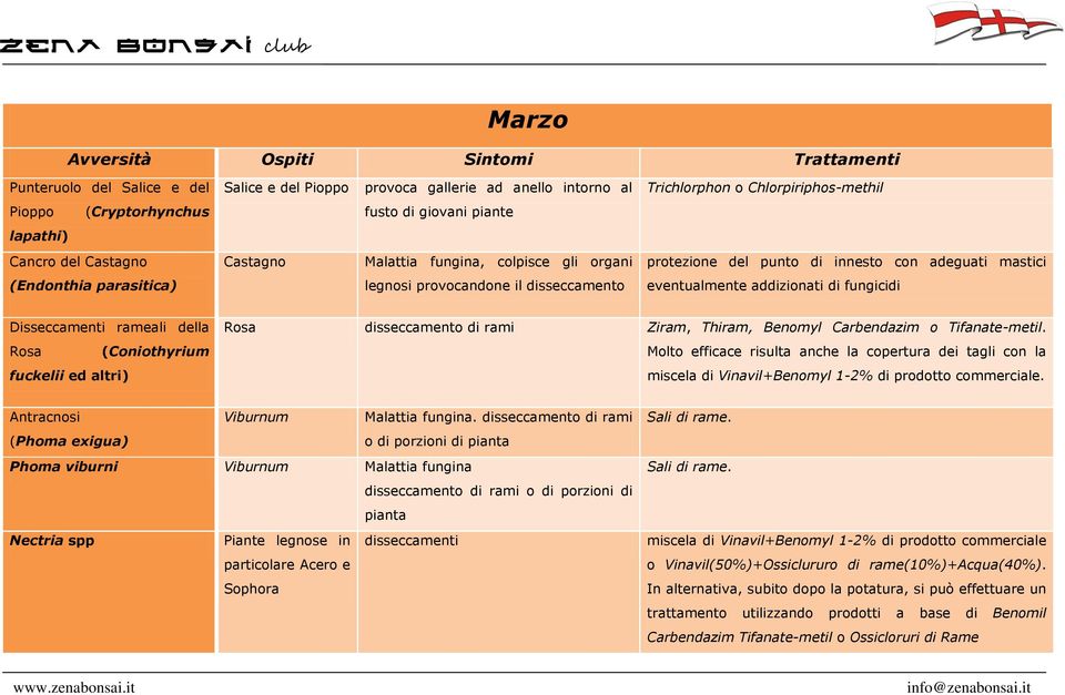 disseccamento eventualmente addizionati di fungicidi Disseccamenti rameali della Rosa (Coniothyrium fuckelii ed altri) Rosa disseccamento di rami Ziram, Thiram, Benomyl Carbendazim o Tifanate-metil.