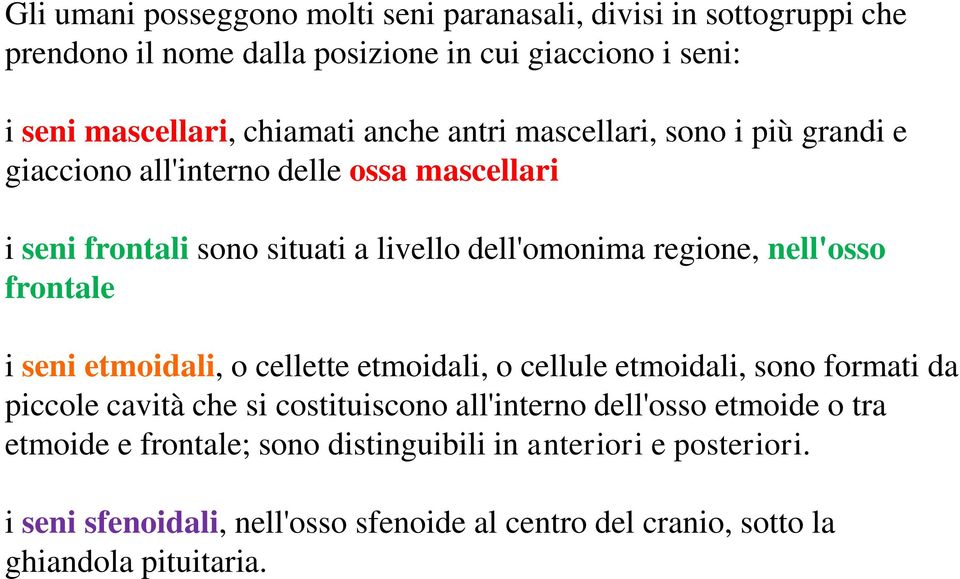 nell'osso frontale i seni etmoidali, o cellette etmoidali, o cellule etmoidali, sono formati da piccole cavità che si costituiscono all'interno dell'osso