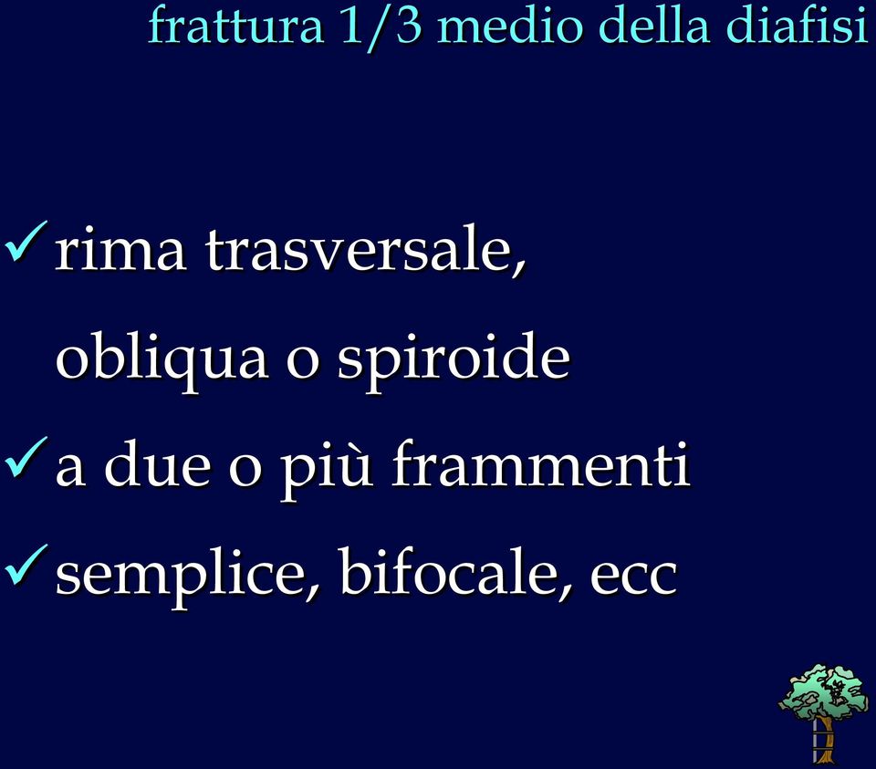 obliqua o spiroide a due o