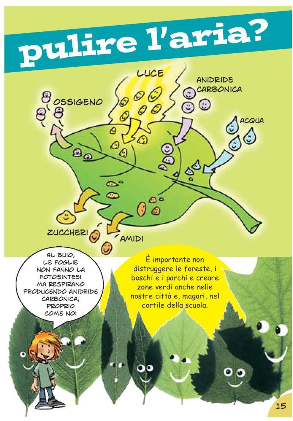 fotosintesi ma respirano producendo anidride carbonica, proprio come noi amidi