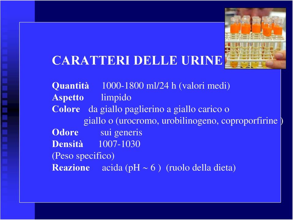 giallo o (urocromo, urobilinogeno, coproporfirine ) Odore sui