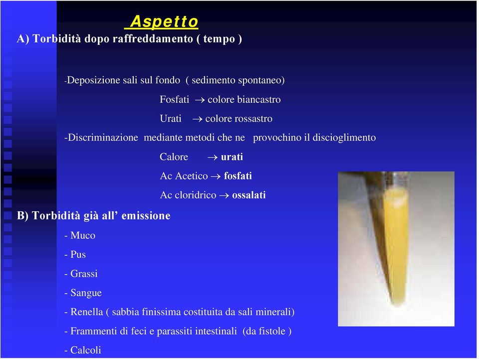 Calore urati Ac Acetico fosfati Ac cloridrico ossalati B) Torbidità già all emissione -Muco -Pus - Grassi -Sangue