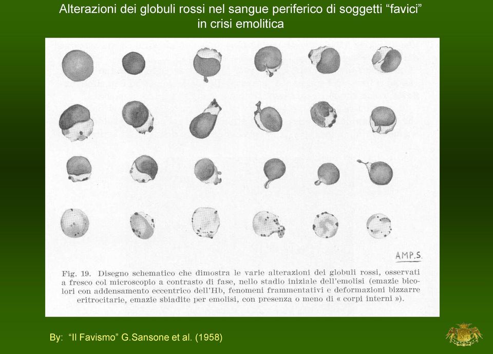 soggetti favici in crisi