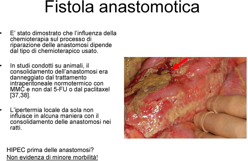 In studi condotti su animali, il consolidamento dell anastomosi era danneggiato dal trattamento intraperitoneale normotermico