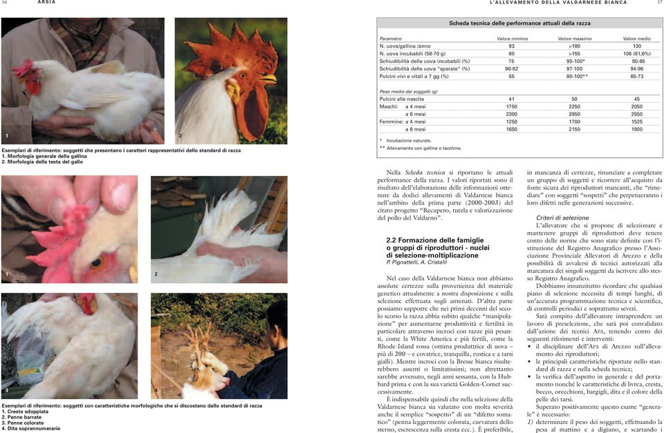 80-100** 65-73 1 Esemplari di riferimento: soggetti che presentano i caratteri rappresentativi dello standard di razza 1. Morfologia generale della gallina 2.