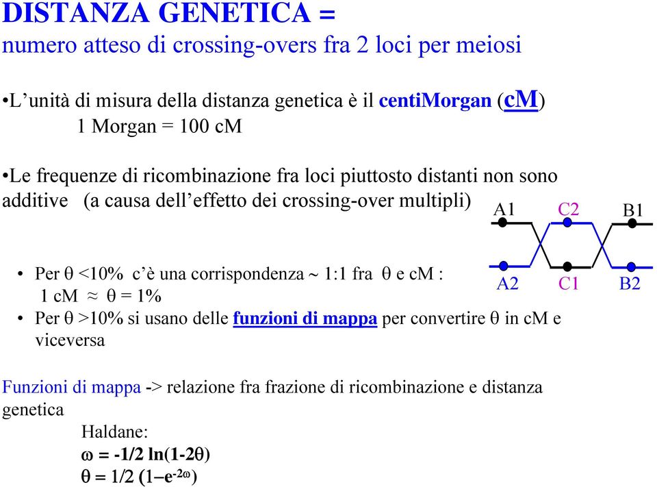 A1 C2 B1 Per θ <10% c è una corrispondenza 1:1 fra θ e cm : A2 C1 1 cm θ = 1% Per θ >10% si usano delle funzioni di mappa per convertire θ in