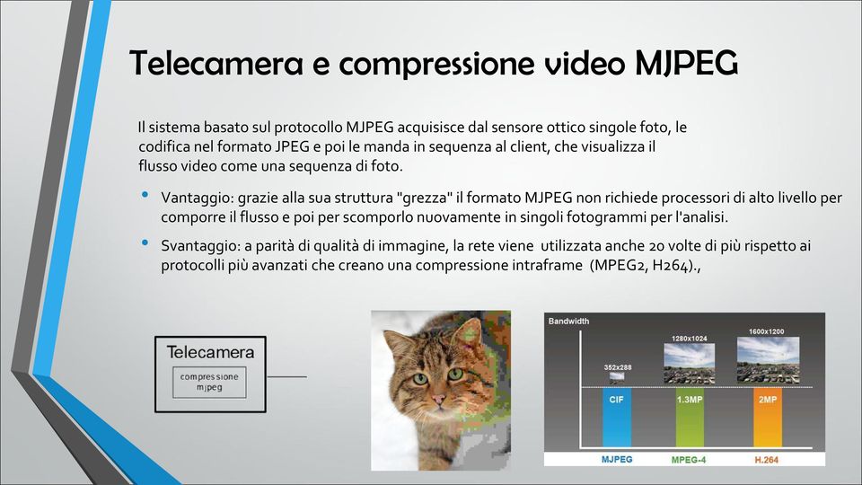 Vantaggio: grazie alla sua struttura "grezza" il formato MJPEG non richiede processori di alto livello per comporre il flusso e poi per scomporlo