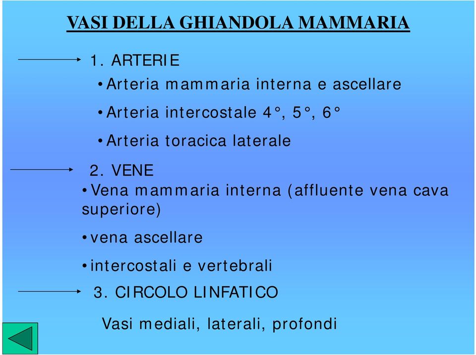 6 Arteria toracica laterale 2.