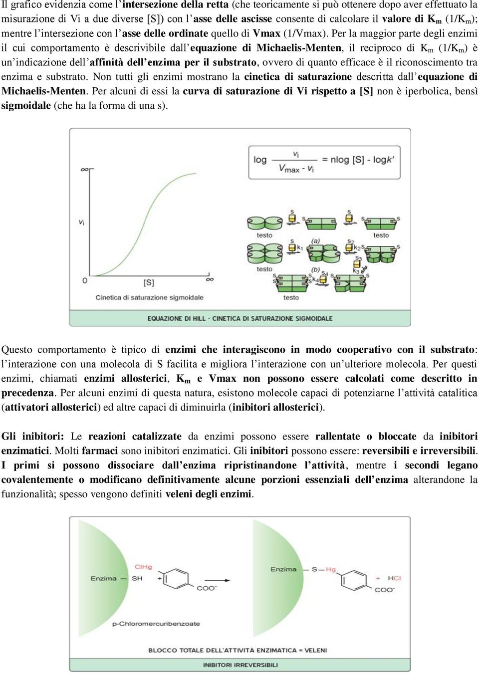 Per la maggior parte degli enzimi il cui comportamento è descrivibile dall equazione di Michaelis-Menten, il reciproco di K m (1/K m ) è un indicazione dell affinità dell enzima per il substrato,