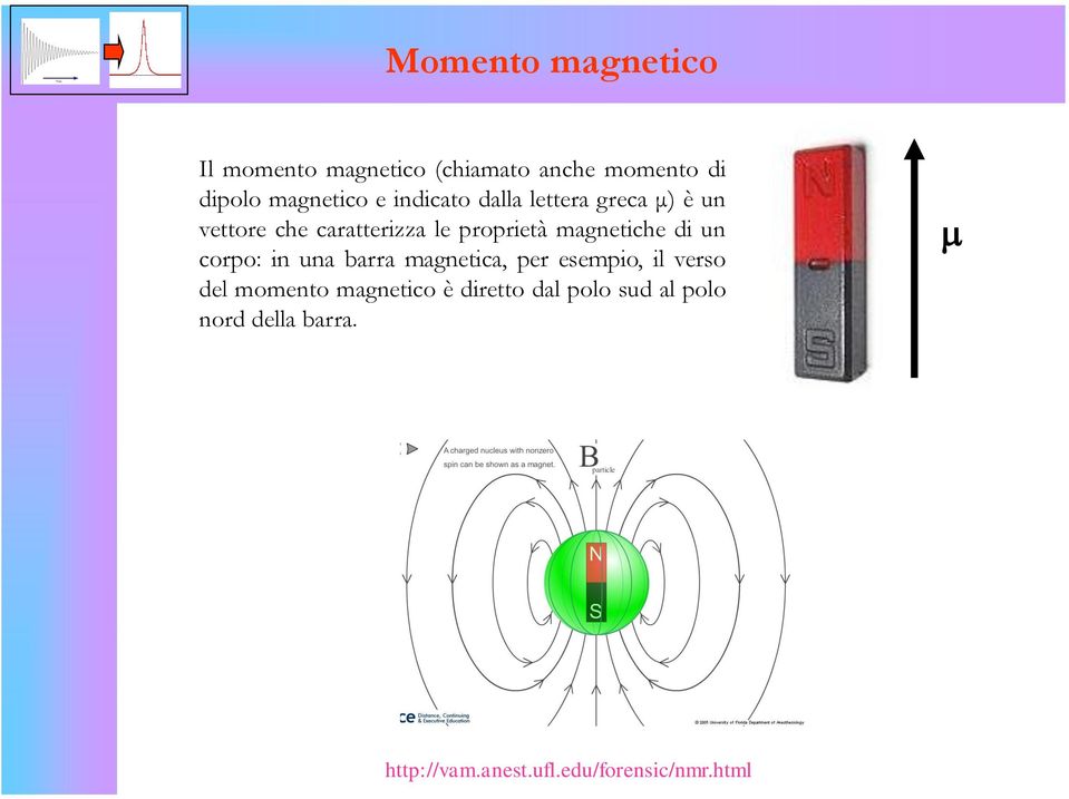di un corpo: in una barra magnetica, per esempio, il verso del momento magnetico è