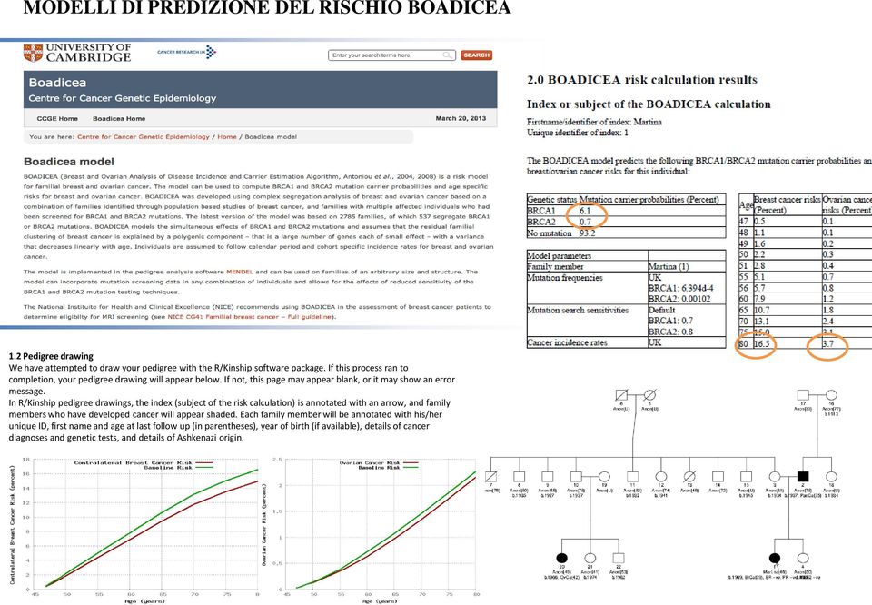 In R/Kinship pedigree drawings, the index (subject of the risk calculation) is annotated with an arrow, and family members who have developed cancer will appear shaded.