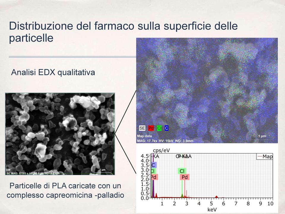 EDX qualitativa Particelle di PLA