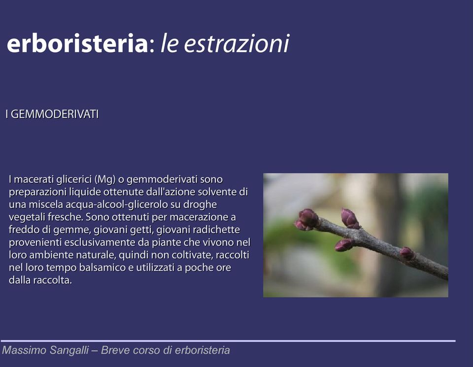 Sono ottenuti per macerazione a freddo di gemme, giovani getti, giovani radichette provenienti esclusivamente da