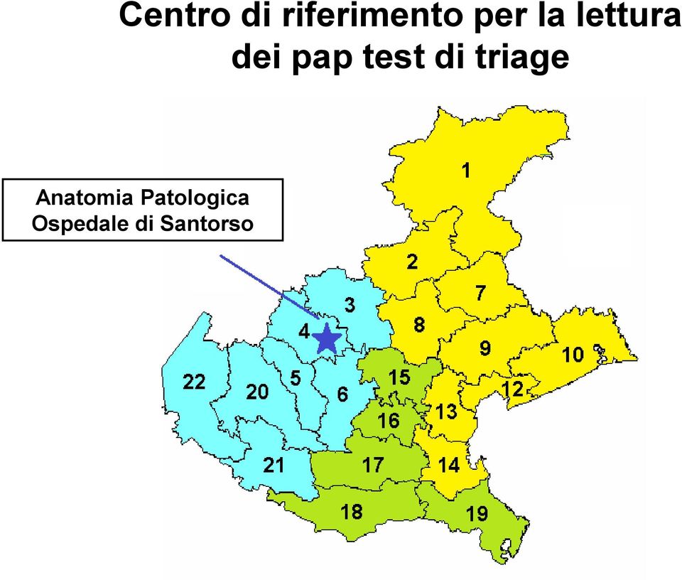 test di triage Anatomia