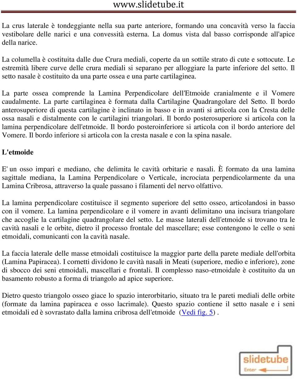 Le estremità libere curve delle crura mediali si separano per alloggiare la parte inferiore del setto. Il setto nasale è costituito da una parte ossea e una parte cartilaginea.