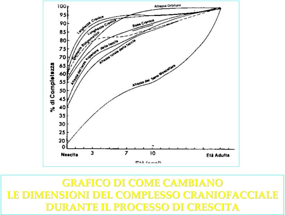 COMPLESSO CRANIOFACCIALE