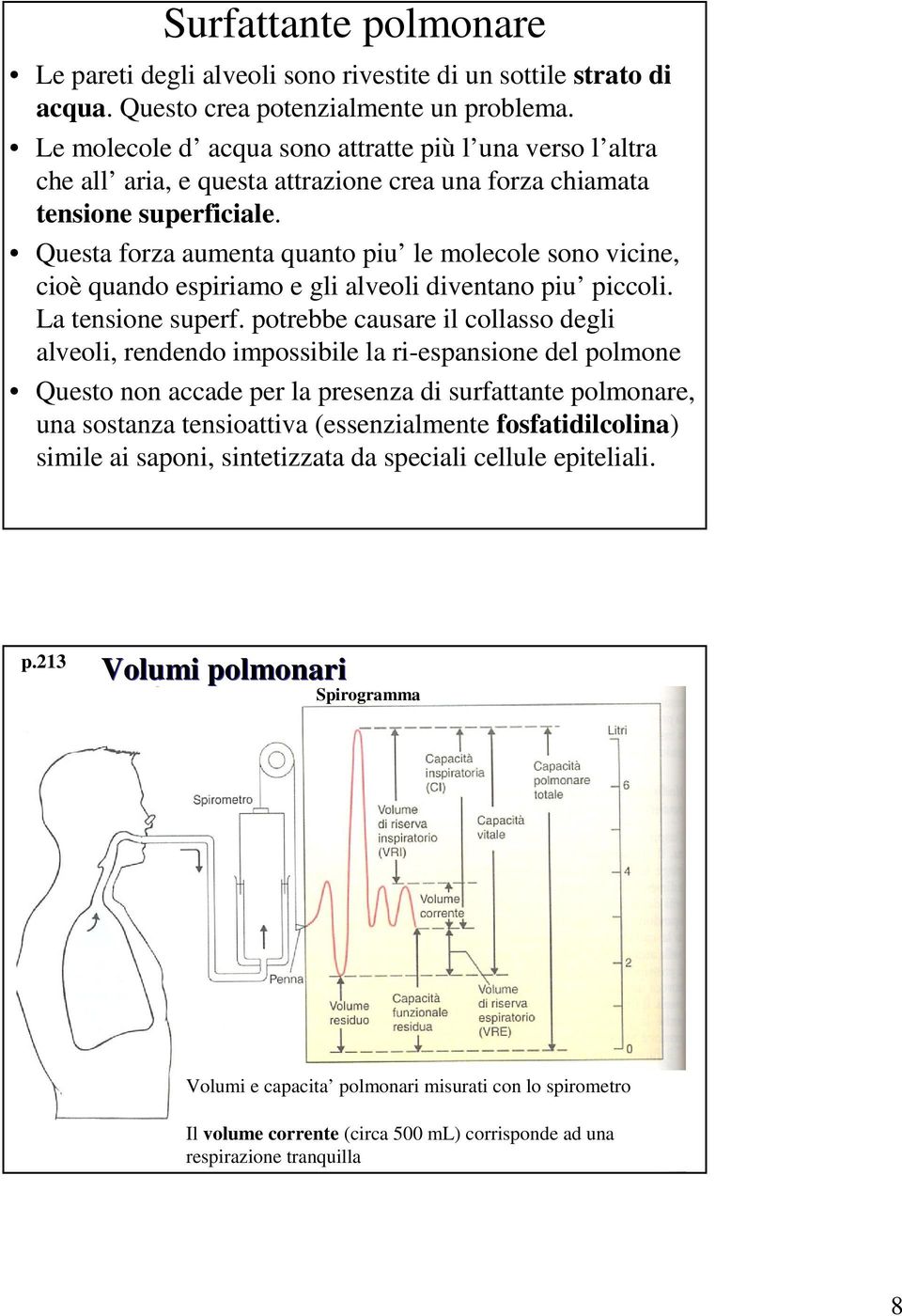 Questa forza aumenta quanto piu le molecole sono vicine, cioè quando espiriamo e gli alveoli diventano piu piccoli. La tensione superf.