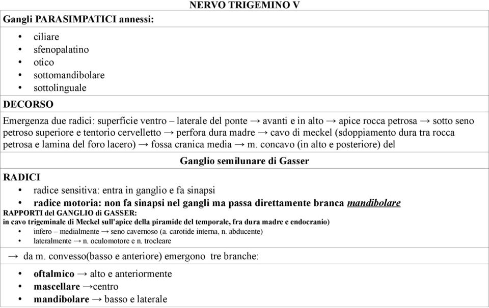 concavo (in alto e posteriore) del Ganglio semilunare di Gasser RADICI radice sensitiva: entra in ganglio e fa sinapsi radice motoria: non fa sinapsi nel gangli ma passa direttamente branca