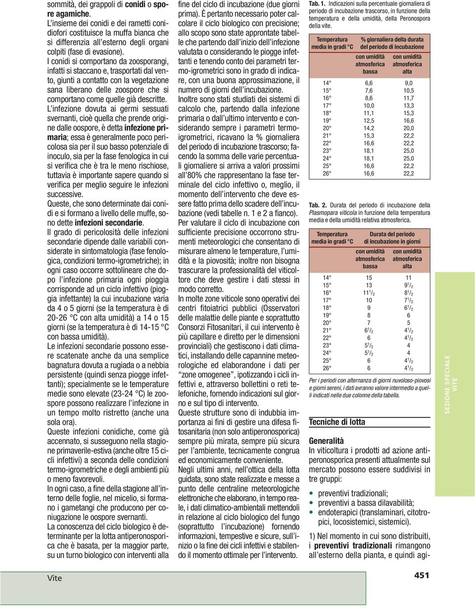 L infezione dovuta ai germi sessuati svernanti, cioè quella che prende origine dalle oospore, è detta infezione primaria; essa è generalmente poco pericolosa sia per il suo basso potenziale di