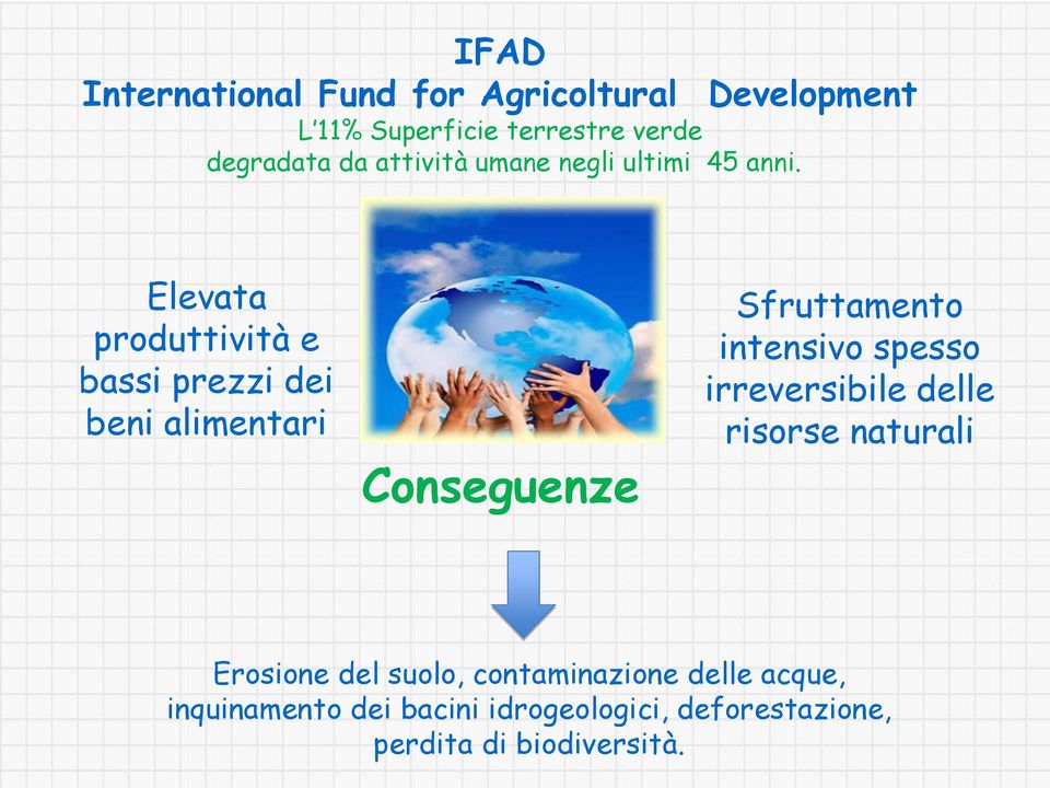 Elevata produttività e bassi prezzi dei beni alimentari Conseguenze Sfruttamento intensivo spesso