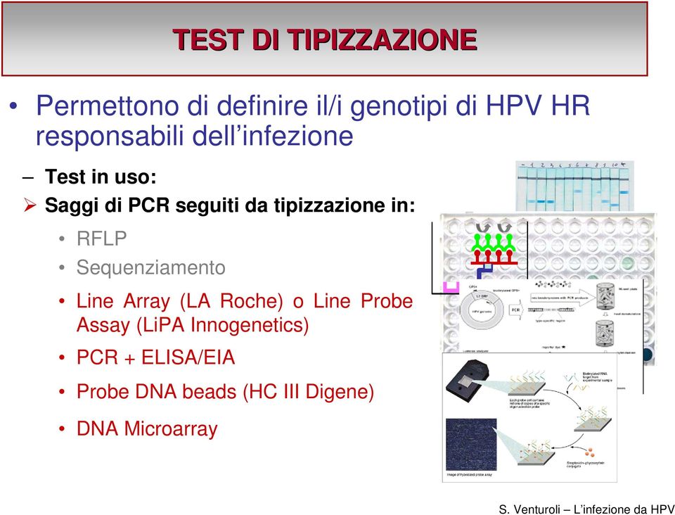 tipizzazione in: RFLP Sequenziamento Line Array (LA Roche) o Line Probe