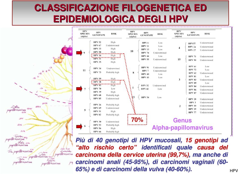 rischio certo identificati quale causa del carcinoma della cervice uterina