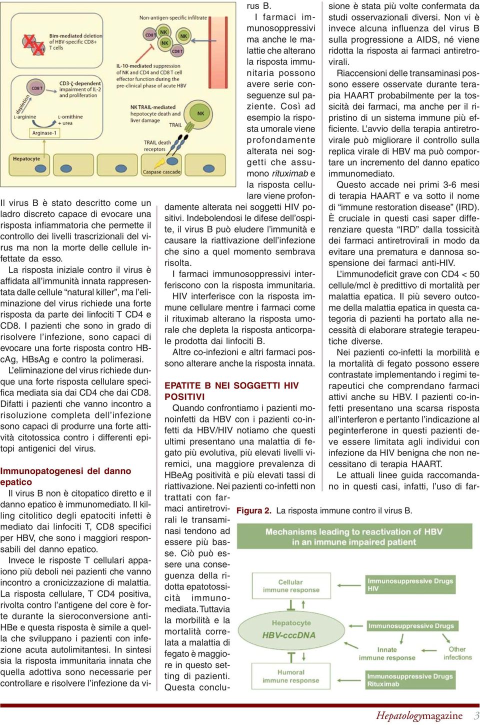 La risposta iniziale contro il virus è affidata all immunità innata rappresentata dalle cellule natural killer, ma l eliminazione del virus richiede una forte risposta da parte dei linfociti T CD4 e