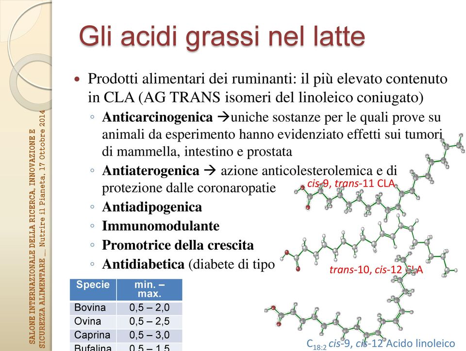 Antiaterogenica azione anticolesterolemica e di protezione dalle coronaropatie cis-9, trans-11 CLA Antiadipogenica Immunomodulante Promotrice della