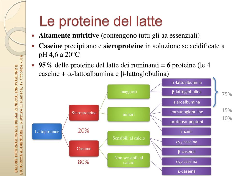 β-lattoglobulina) -lattoalbumina maggiori β-lattoglobulina 75% sieroalbumina Sieroproteine minori immunoglobuline