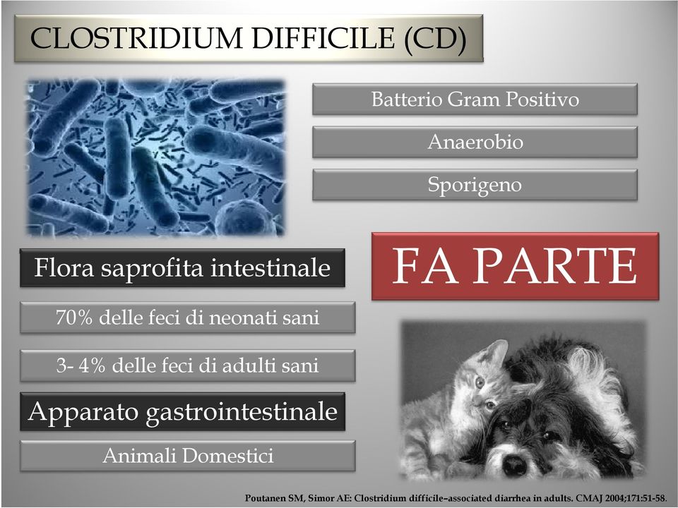 di adulti sani Apparato gastrointestinale Animali Domestici Poutanen SM,