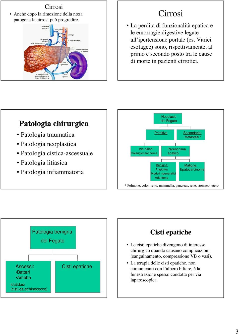 Patologia chirurgica Patologia traumatica Patologia neoplastica Patologia cistica-ascessuale Patologia litiasica Patologia infiammatoria Vie biliari: Colangiocarcinoma Neoplasie del Fegato Primitive