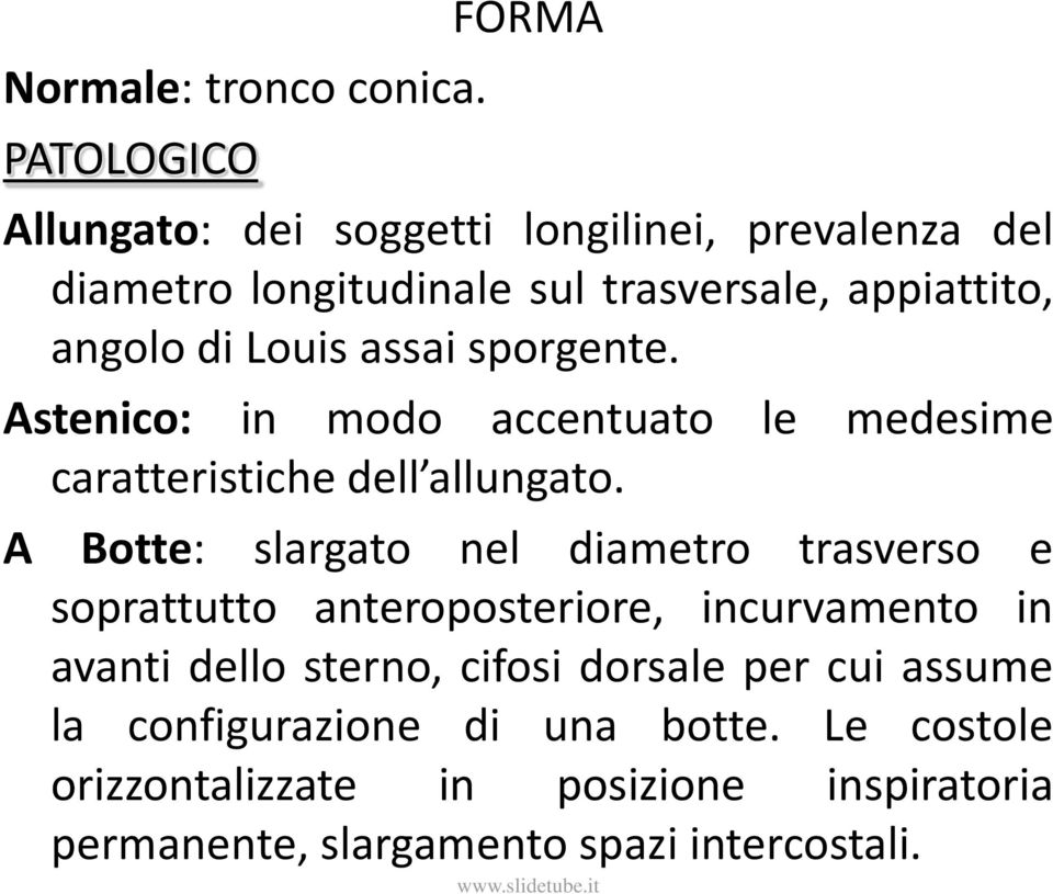 Louis assai sporgente. Astenico: in modo accentuato le medesime caratteristiche dell allungato.